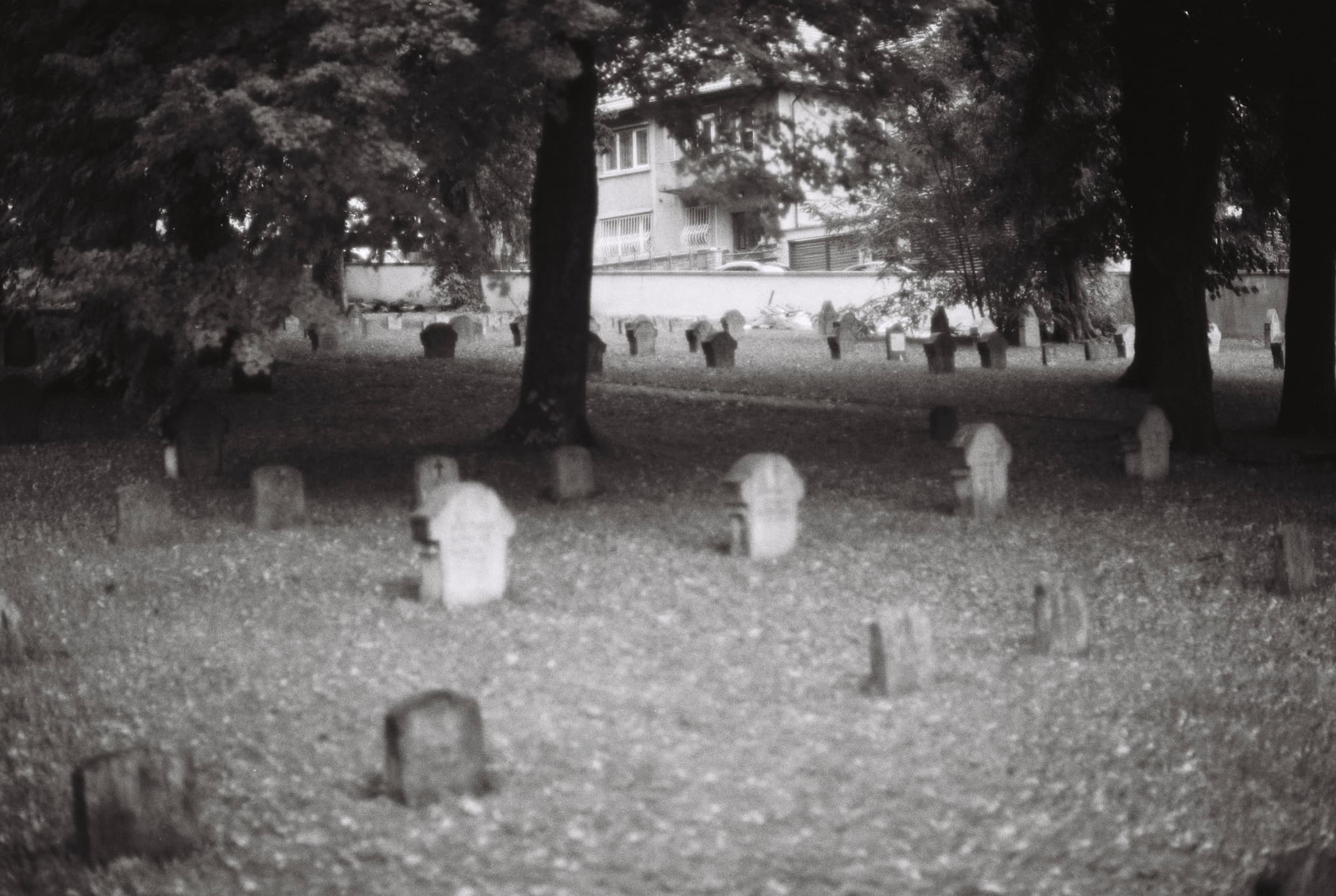 Echoes from the Grave