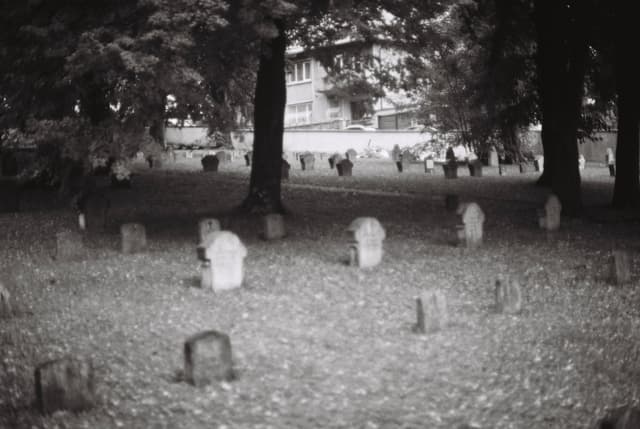 Echoes from the Grave